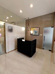 Tanjong Pagar Conservation Area (D2), Office #455382871